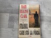 Strainul care sta la panda de Mary Higgins Clark