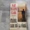 Strainul care sta la panda de Mary Higgins Clark
