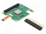 Accesorii: placă de expansiune Comp: Hailo-8L accelerator