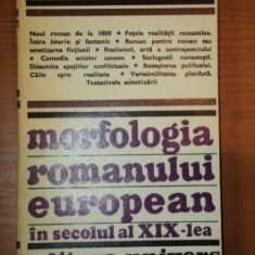 MORFOLOGIA ROMANULUI EUROPEAN IN SECOLUL AL XIX-LEA - TUDOR OLTEANU 1977