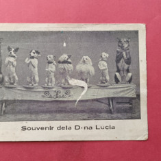 Buzau 1939 – 1940 Circ dresura de catei Souvenir de la Dna Lucia Autograf