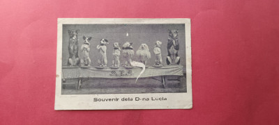 Buzau 1939 &amp;ndash; 1940 Circ dresura de catei Souvenir de la Dna Lucia Autograf foto