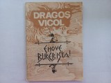 DRAGOS VICOL - EHOVE BUREBISTA!