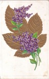Carte postala cu flori de liliac (circulata 1906)