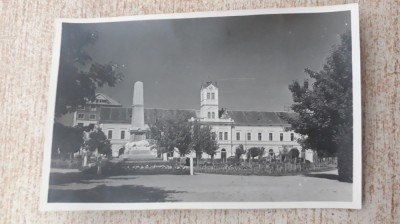 Sfantu Gheorghe - Monument. foto