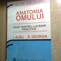 Anatomia omului -Ghid pentru lucrari practice -Note de curs -I. Albu; R. Georgia