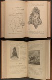 Rara 1923 CAINELE &ndash; IGIENA si BOLI &ndash; Joanny Pertus 414 pag 111 ilustratii. Medicina Veterinara CAINE CAINII Editura BAILLIERE Limba Franceza Cartonata, Carti medicina veterinara