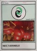 Nectarinele - V. Cociu - Carte anticariat