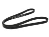 Curea transmisie cu caneluri FIAT DOBLO Combi (263) (2010 - 2016) BOSCH 1 987 947 568