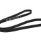 Curea transmisie cu caneluri FIAT DOBLO Combi (263) (2010 - 2016) BOSCH 1 987 947 568