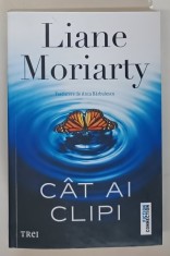 CAT AI CLIPI , roman de LIANE MORIARTY , 2025