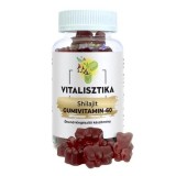 Vitamine gumate pentru imunitate, oase si articulatii cu shilajit Vitalisztika 60 buc