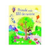 Cumpara ieftin Primele Mele 100 De Cuvinte (Usborne), - Editura Univers Enciclopedic