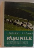 PASUNILE MUNTILOR INALTI , 1983 de C. BARBULESCU , GH. MOTCA