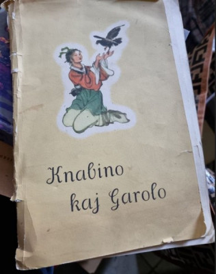 Liu Gaulin, Ceng Sifa - Knabino kaj Garolo foto