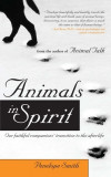 Animals in Spirit: Our Faithful Companions&#039; Transition to the Afterlife