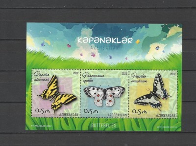 AZERBAIJAN 2022 FAUNA INSECTE FLUTURI foto