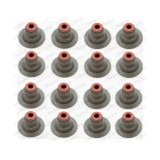 Payen Set garnituri, ax supape