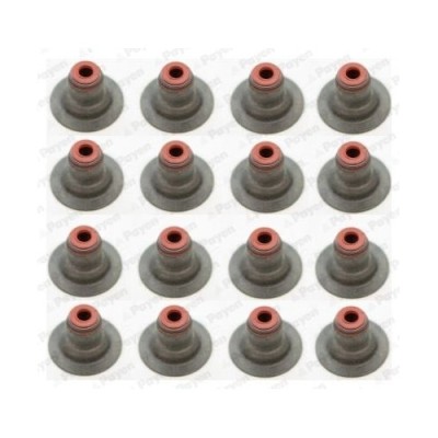 Payen Set garnituri, ax supape foto