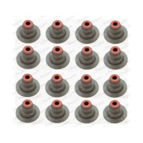 Payen Set garnituri, ax supape