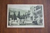 CP Sinaia Castelul Peles 1935, Circulata, Printata