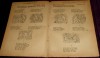 Revista copiilor si tinerimei Nr 10/1921, BD benzi desenate V.I. Popa, Iordache