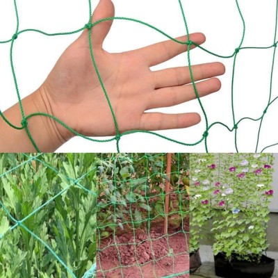 Plasa de gradina pentru plante cataratoare,din plastic puternic, reutilizabila, 1.8 x2.7 m - CN foto