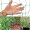 Plasa de gradina pentru plante cataratoare,din plastic puternic, reutilizabila, 1.8 x2.7 m - CN