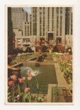 FA106 -Carte Postala- SUA - New York, Channel Gardens, Rockefeller Center, necirculata