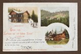 Păltiniș Hohe Rinne litografie 1904, Circulata, Printata