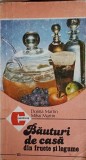 BAUTURI DE CASA DIN FRUCTE SI LEGUME-DORINA MARTIN, MIHAI MARTIN-274490