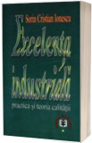 Sorin Cristian Ionescu - Lexicon de management