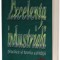 Sorin Cristian Ionescu - Lexicon de management