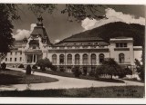 CPIB 22036 - CARTE POSTALA - SINAIA. CASA DE CULTURA, RPR, NECIRCULATA