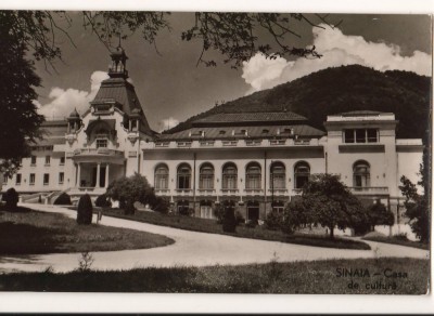 CPIB 22036 - CARTE POSTALA - SINAIA. CASA DE CULTURA, RPR, NECIRCULATA foto