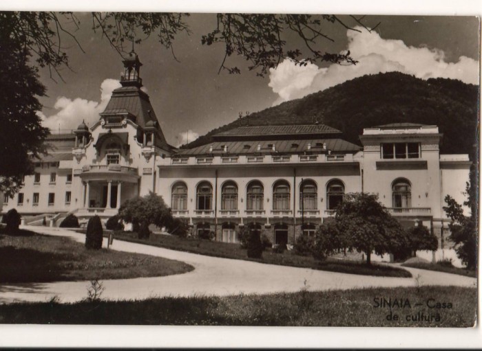 CPIB 22036 - CARTE POSTALA - SINAIA. CASA DE CULTURA, RPR, NECIRCULATA