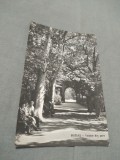 Cumpara ieftin CARTE POSTALA BUZIAS VEDERE DIN PARC CIRCULATA