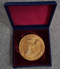 Medalie muzeul Stefan cel Mare din Vaslui foto
