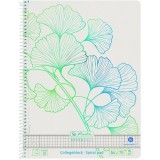 Caiet cu spira A4, 70 file, matematica, Ginkgo Greenline, Herlitz