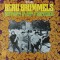 The Beau Brummels &ndash; Autumn In San Francisco, LP, UK, 1985, stare excelenta (NM)