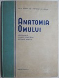 Anatomia omului. Angeiologie, glande endocrine, sistemul nervos &ndash; Z. Iagnov