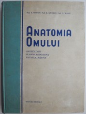 Anatomia omului. Angeiologie, glande endocrine, sistemul nervos &ndash; Z. Iagnov