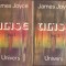 HST C2729 Ulise 1984 James Joyce vol I+II