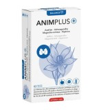 Animplus 42 capsule Intersa Labs