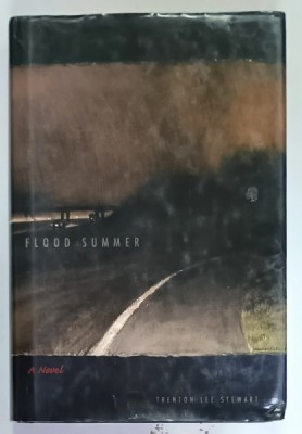 FLOOD SUMMER , A NOVEL by TRENTON LEE STEWART , 2005 foto