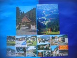 HOPCT LOT 2259 POIANA BRASOV-4 CARTI POSTALE-CIRCULATE