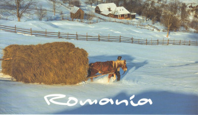 Carte postala Bucovina SV141 Paltinu - Iarna cea mai lunga - necirculata foto