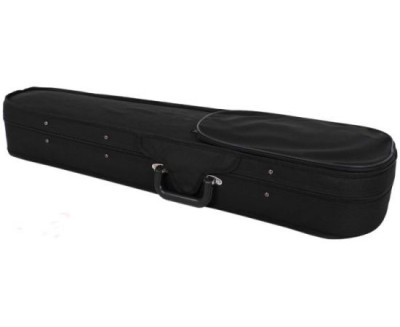 Cutie vioara 4 4 Parrot foto