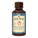 Tinctura Gliconormus pentru mentinerea glicemiei in limite normale, 200 ml, Faunus Plant