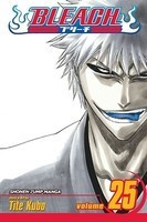 Bleach, Volume 25 foto